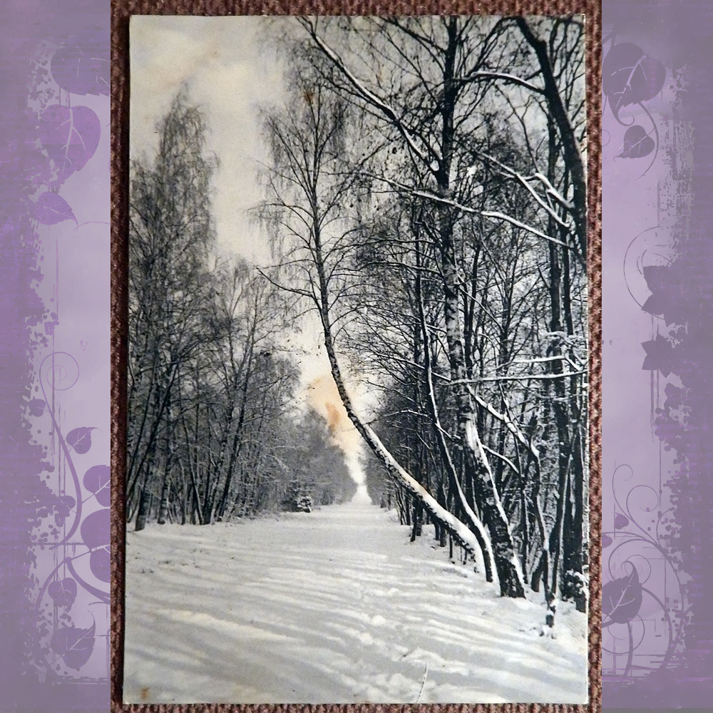 Картинки зимний пейзаж (100 фото)